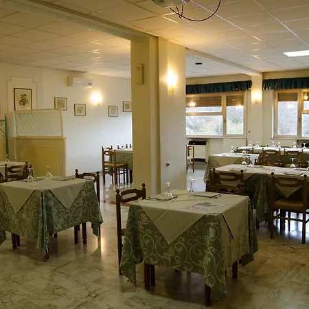 Hotel Holiday Hotel *