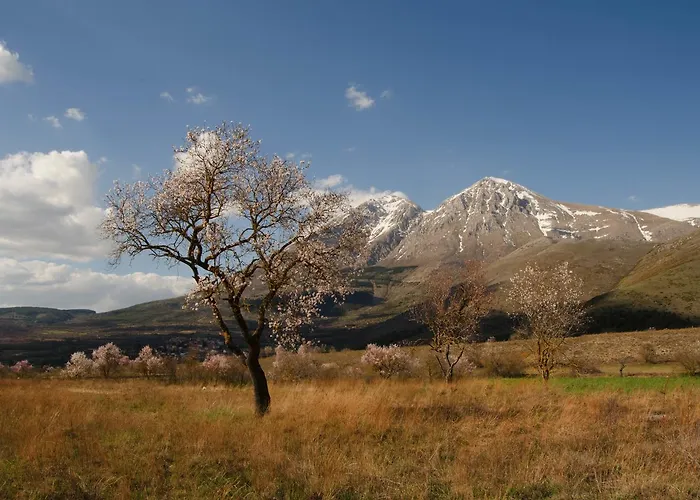 Hotel Holiday Hotel *